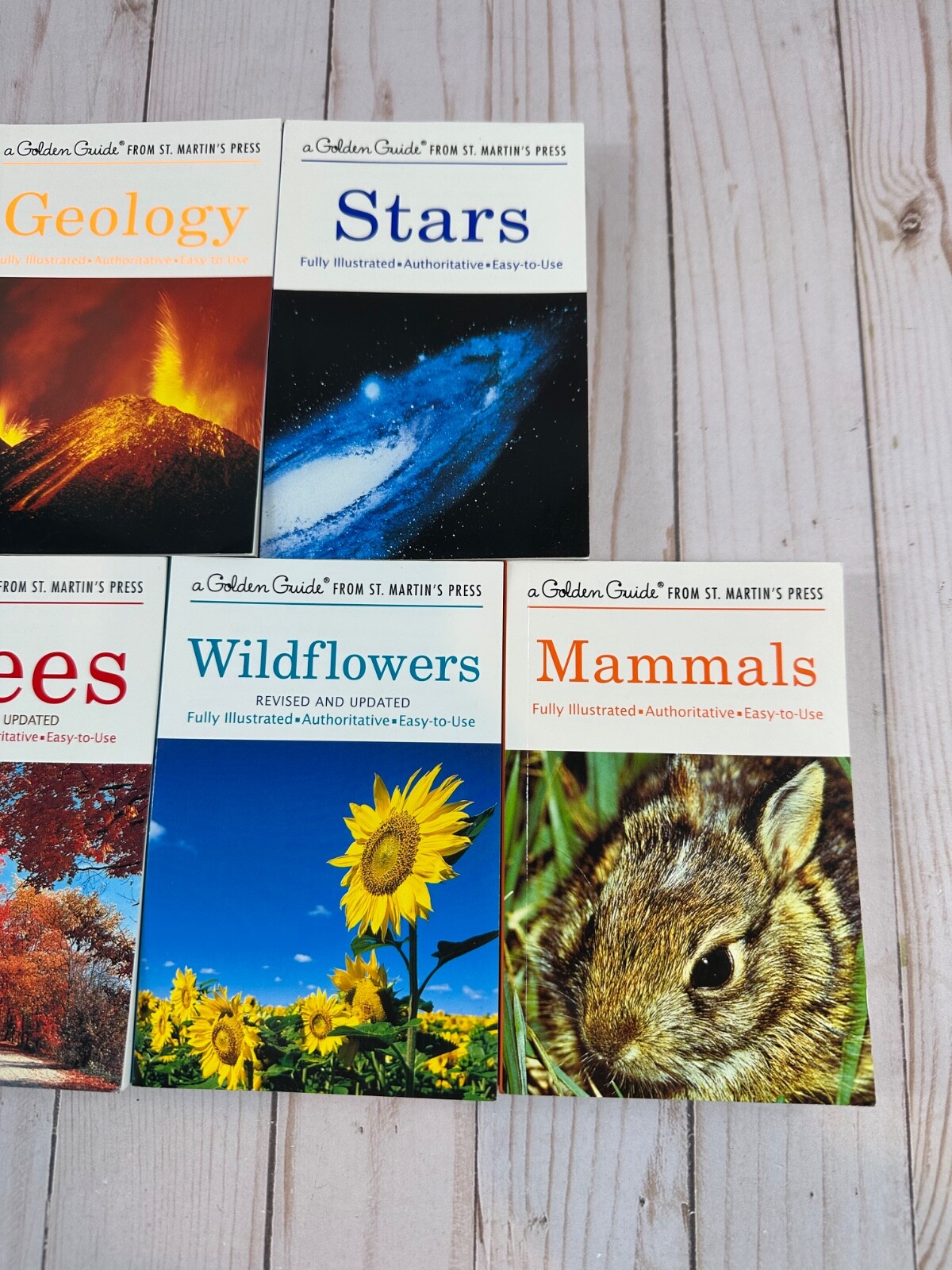 Variety Of A Golden Guide Books from St. Martin’s Press, PICK YOUR BOOK