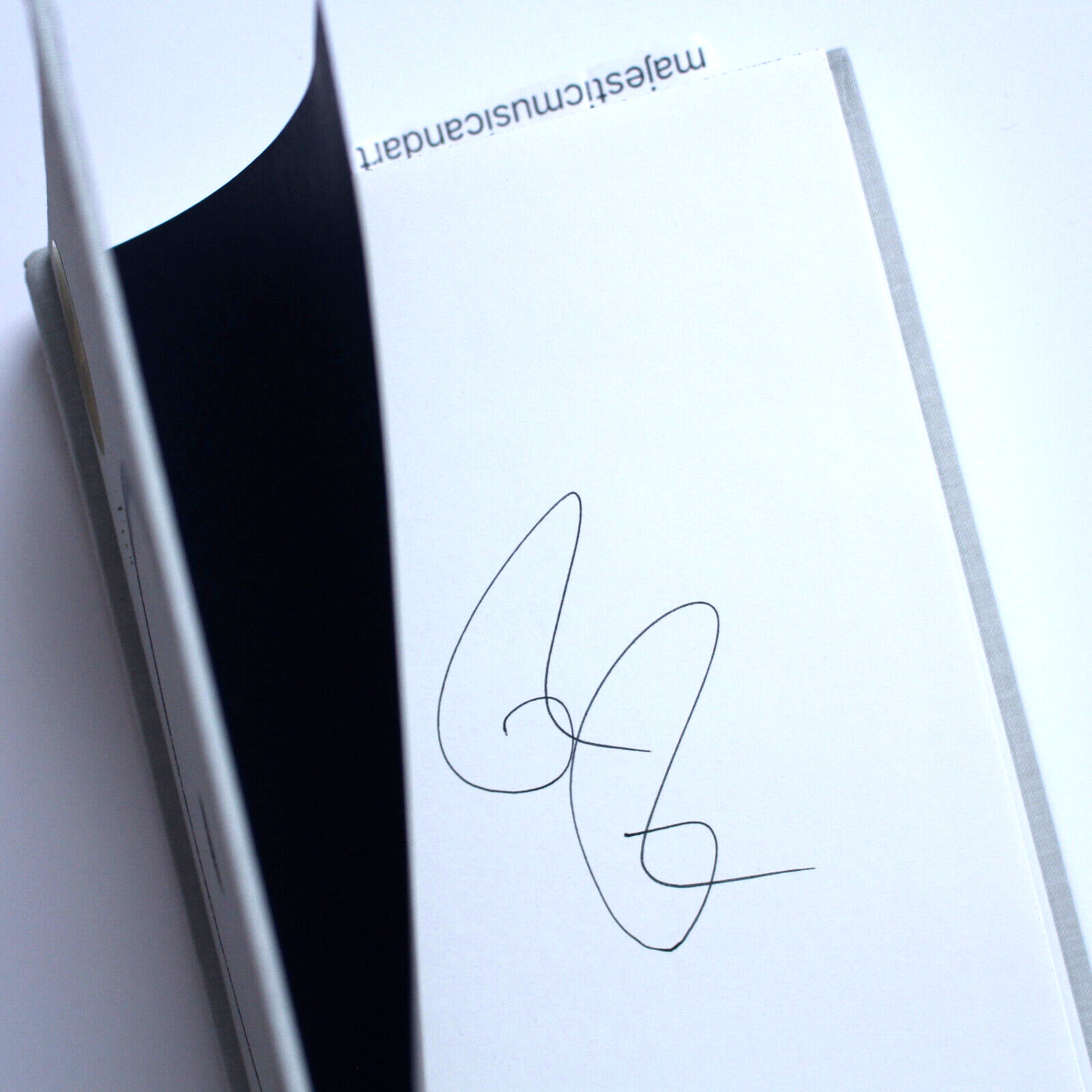 SIGNED RICK RUBIN OF THE BEASTIE BOYS JOHNNY CASH FAME HARDCOVER 1ST ED. BOOK