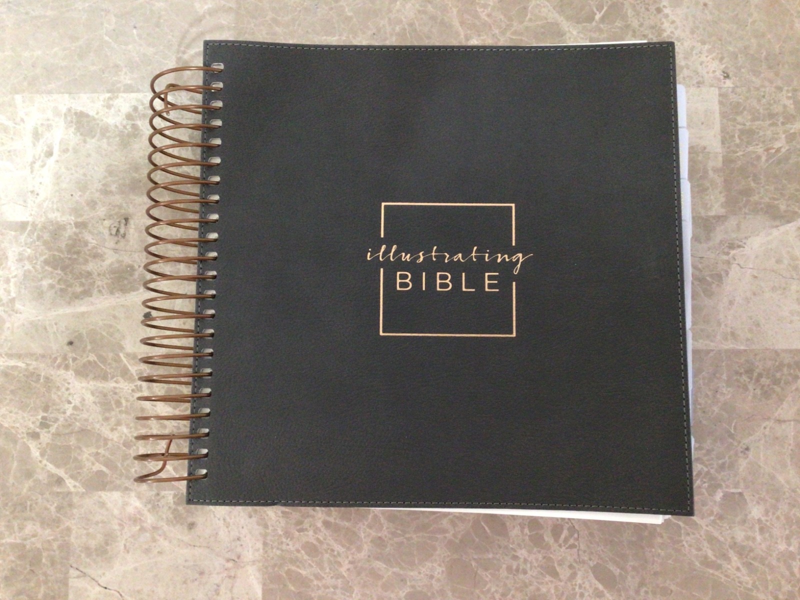 New International Version Illustrating Bible by DaySpring 2020 Leather Spiral
