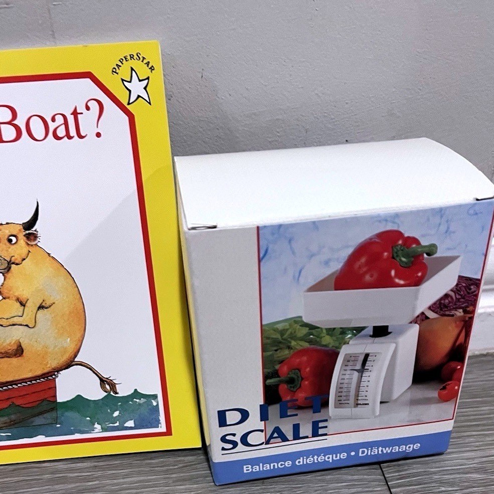 Vintage Lakeshore Who Sank The Boat Activity Kit Pamela Allen Complete 1993 Toy