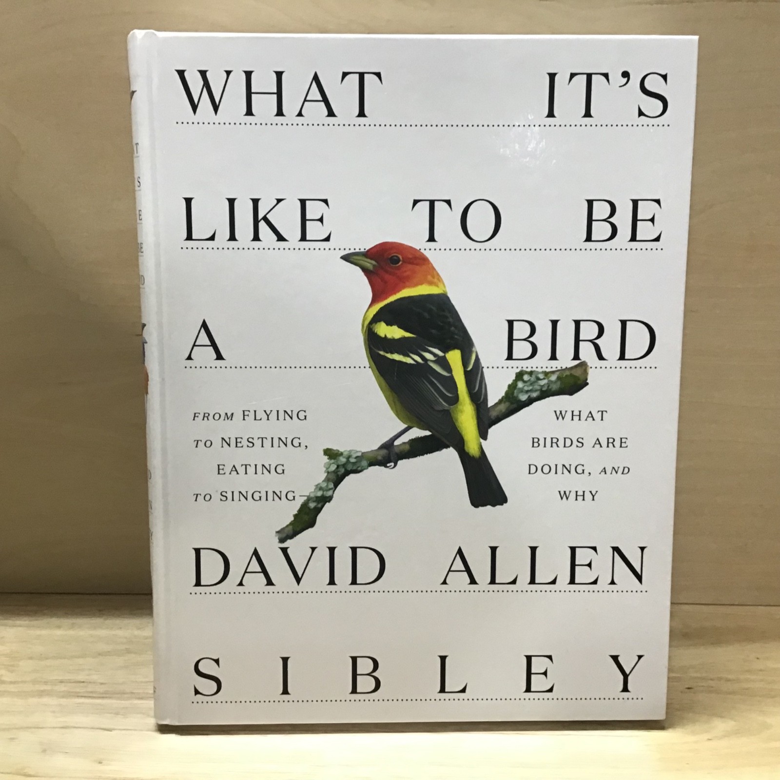 “What It’s Like to be a Bird” by David Allen Sibley