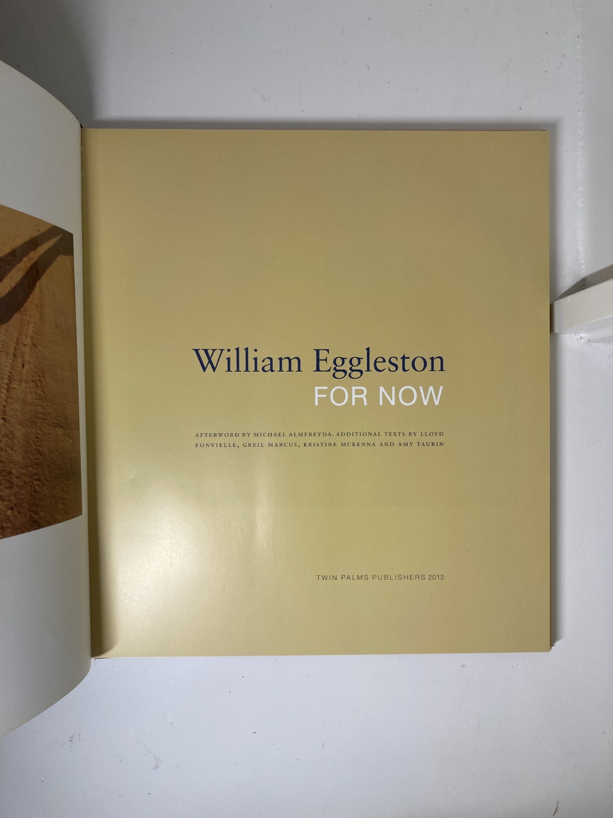 William Eggleston: For Now by William Eggleston / 2010 / Twin Palm Publishers