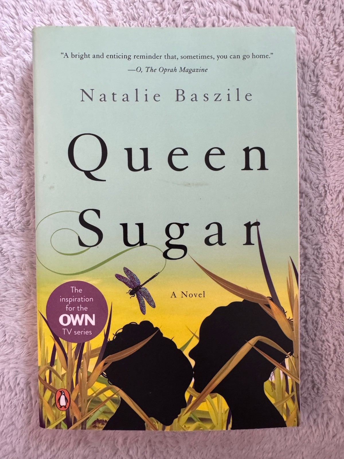 12 Years a Slave, The Help, Queen Sugar – Book to Movie/TV Lot Paperback