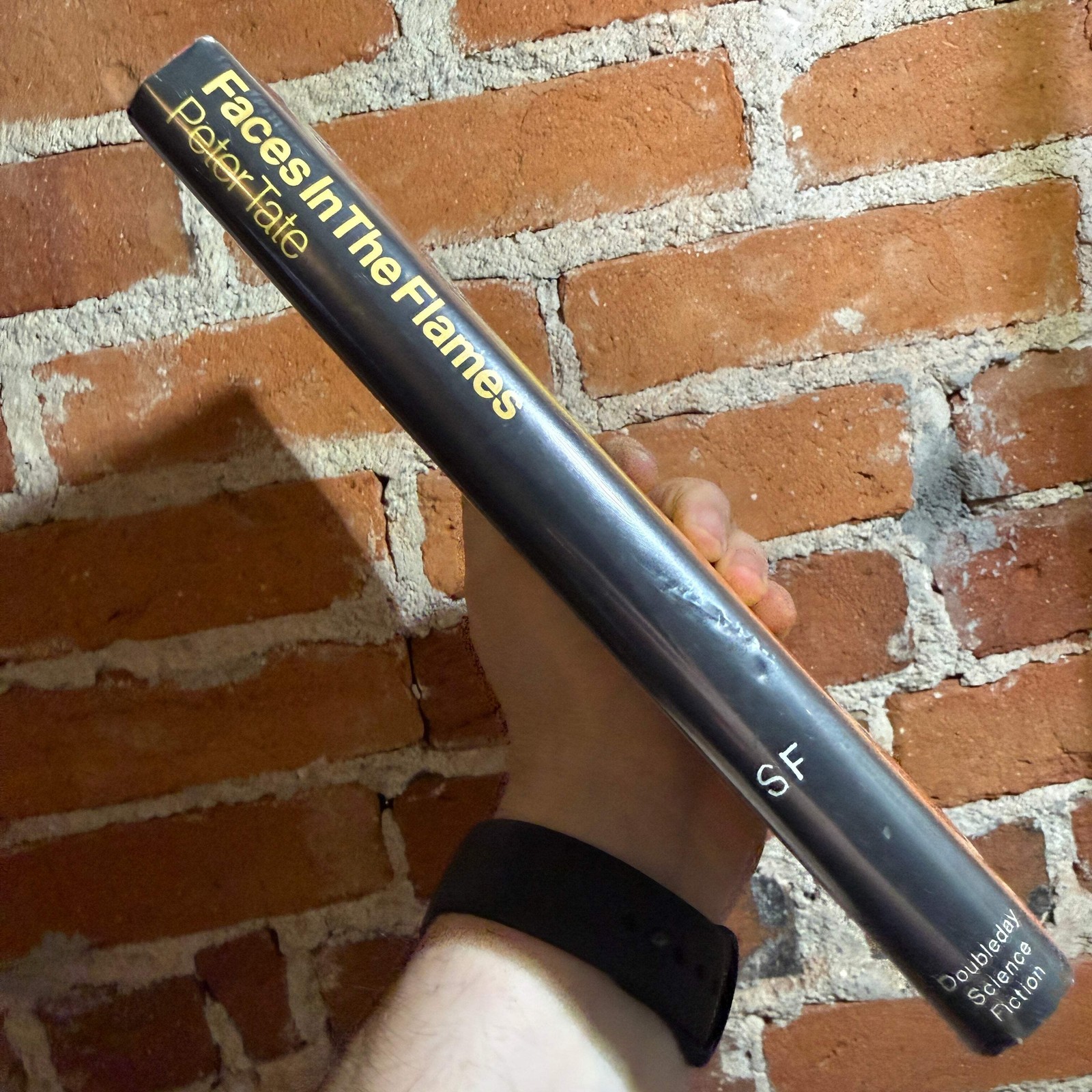 Faces In The Flames – Peter Tate – 1976 1st Doubleday Hardback