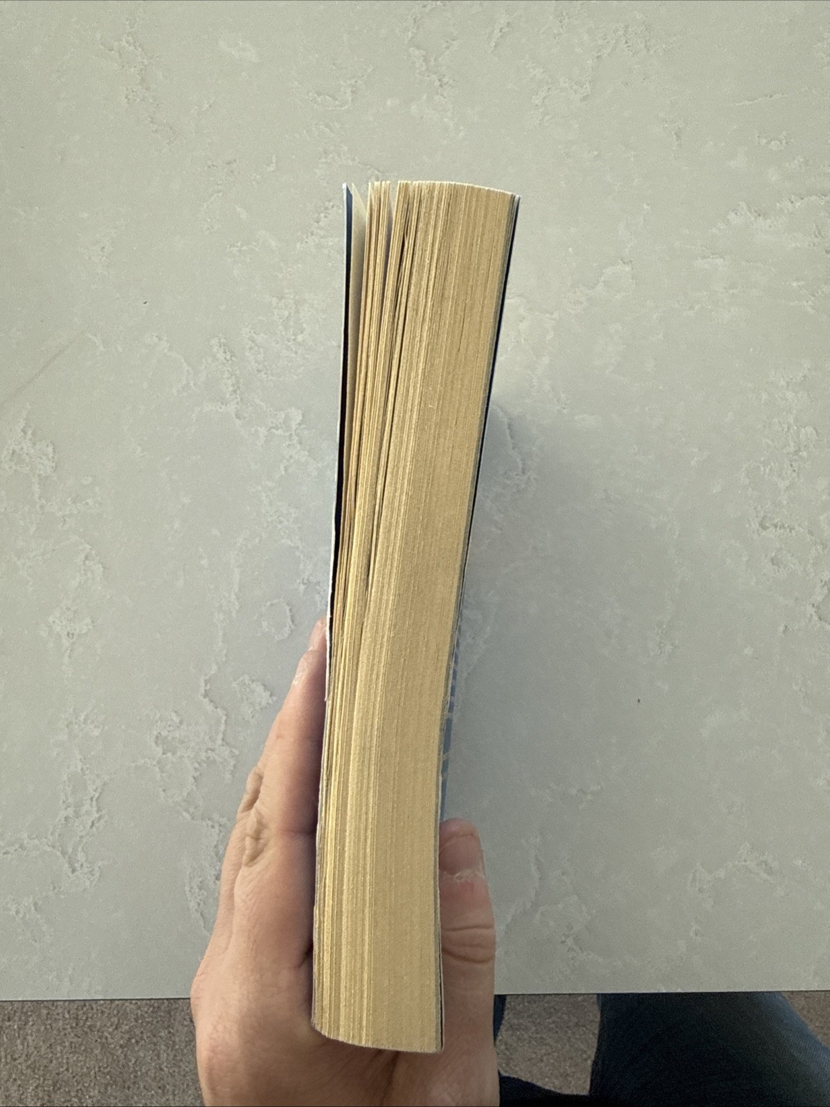 One Golden Summer – paperback Fortune, Carley