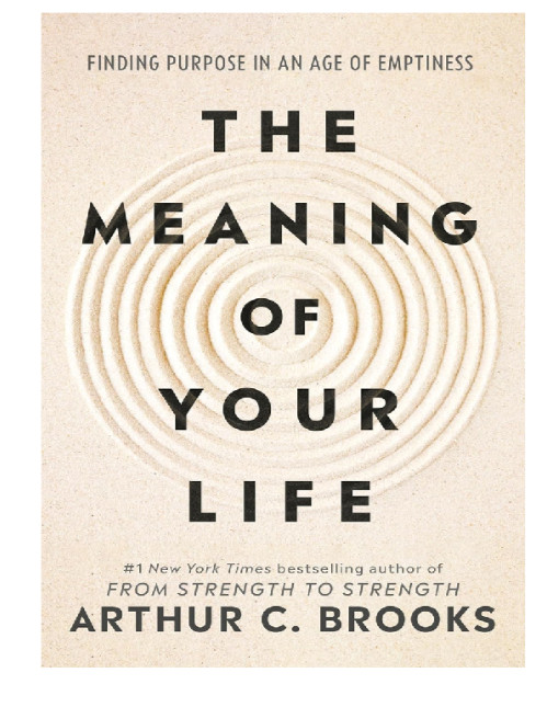 The Meaning of Your Life BY Arthur C. Brooks Brand NEW ENG PAPERBACK fREE SHIPP