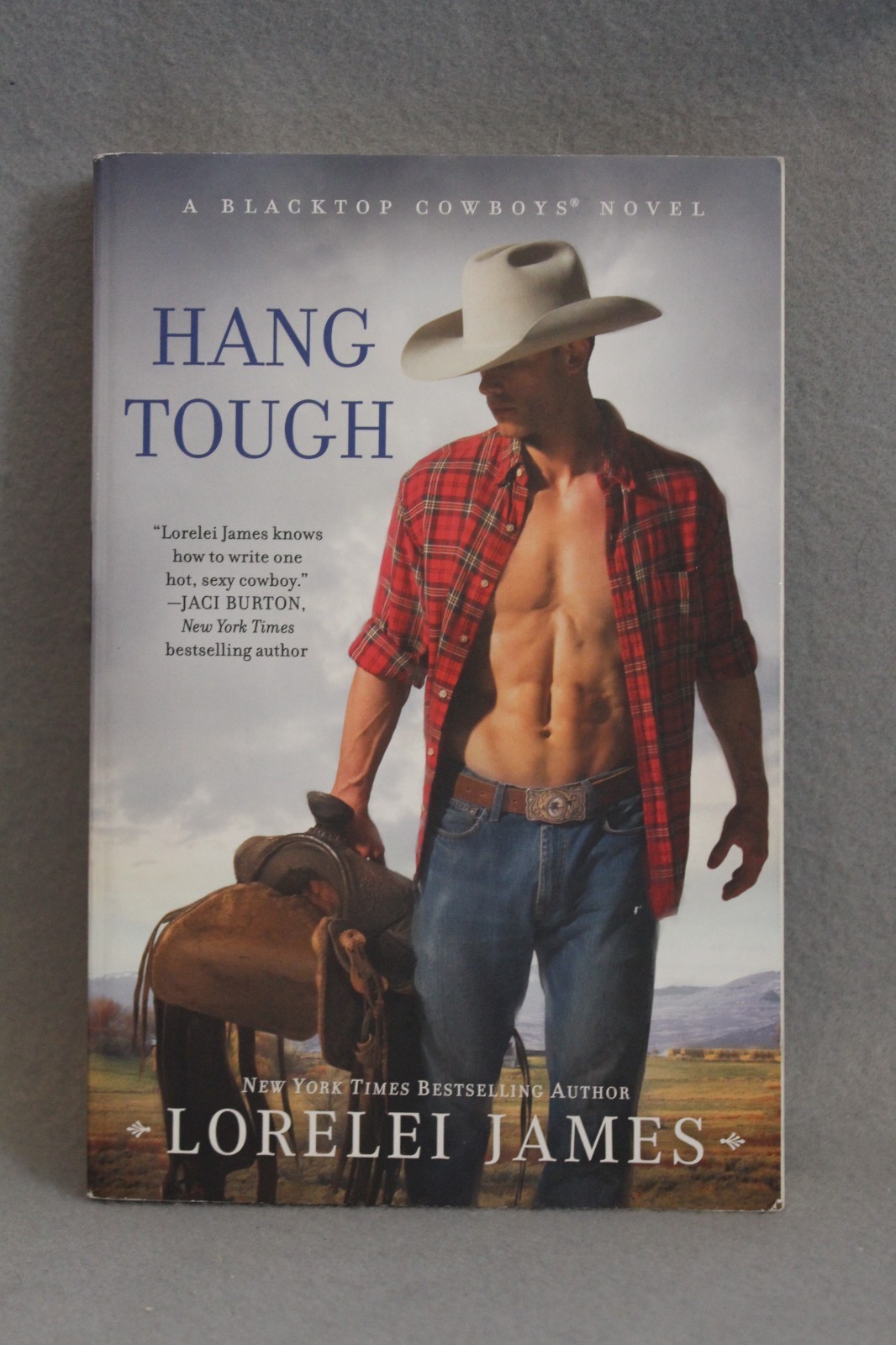 Blacktop Cowboys Series 14 Titles in 12 PBs Lorelei James PB Novellas USED Good