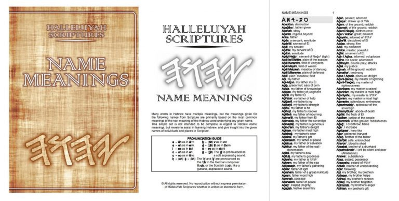 Genuine Leather STANDARD HALLELUYAH SCRIPTURES Bible + Free Books