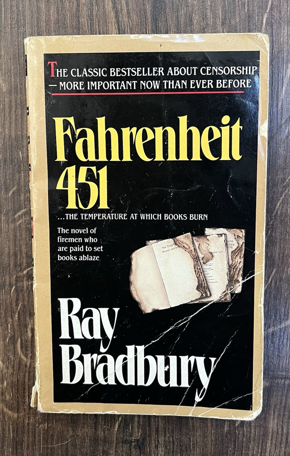 Vintage Fahrenheit 451 Ray Bradbury 1991 Del Rey Ballantine Banned Book Sci Fi
