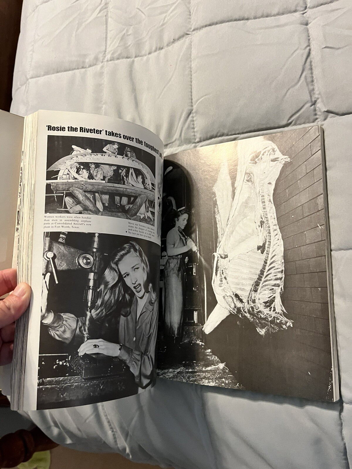 LIFE Goes to War A Picture History of World War 2 303 Pages VG+