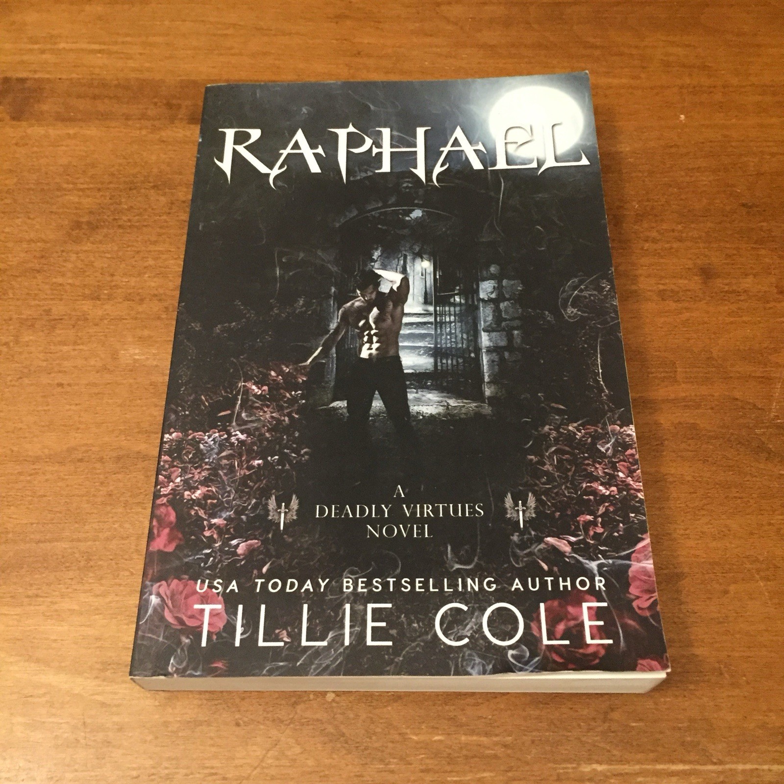 Raphael: A Deadly Virtues Novel by Tillie Cole 2019 Amazon TPB Good+ RARE OOP