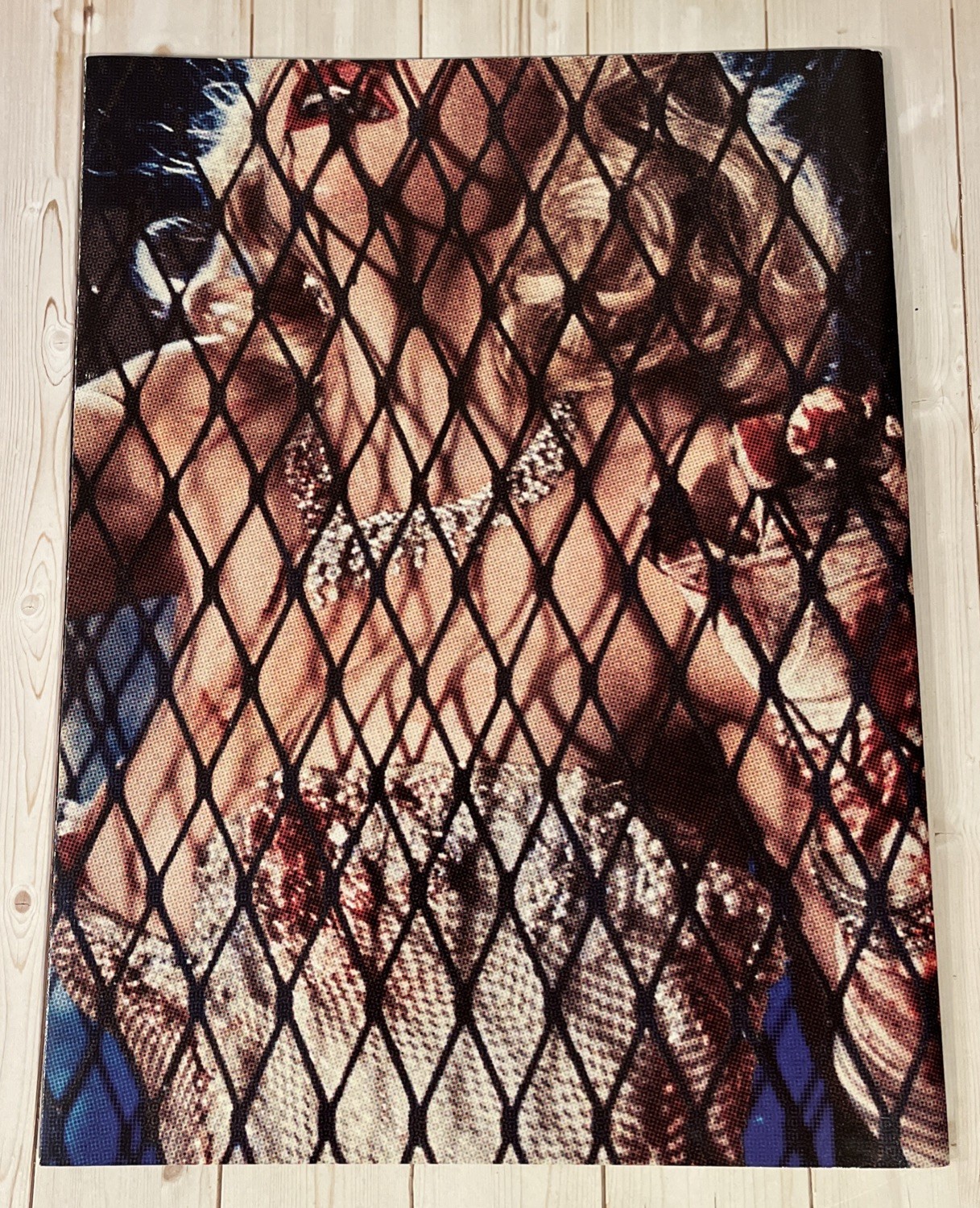 Madonna Rebel Heart Tour Book 2015 Program Concert Photos – 15 x 11 Inches
