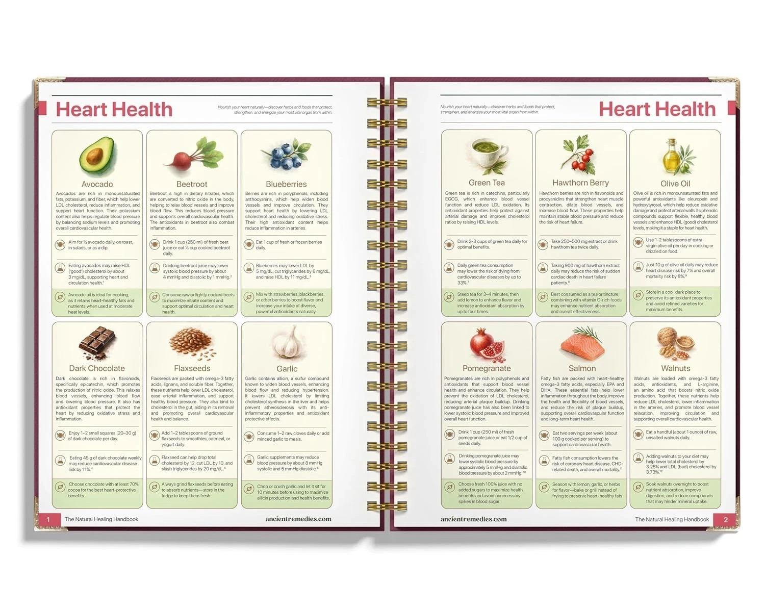 The Natural Healing Handbook – Ancient Herbal Remedies Spiral-Bound Guide