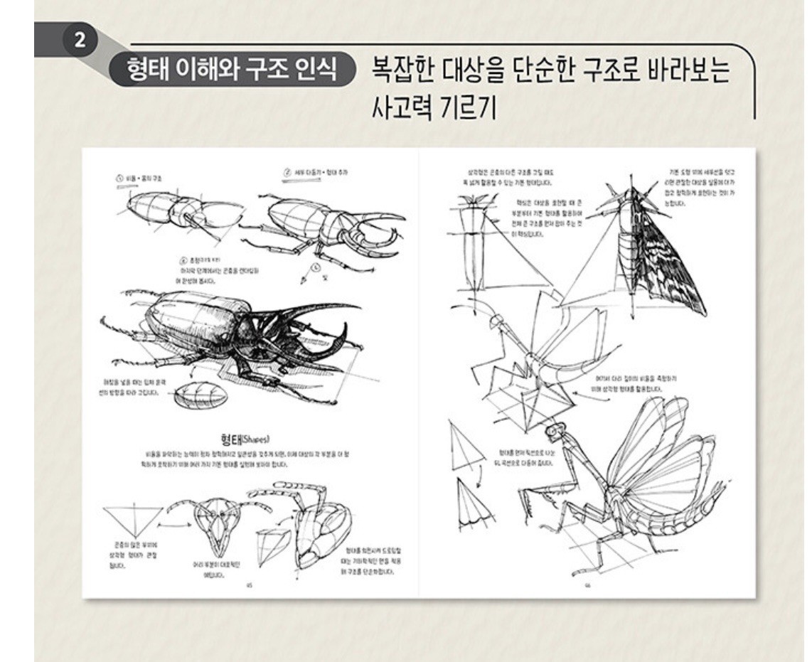 The Dynamic Bible: Peter Han Authetic drawing book HardCover Korean Edition