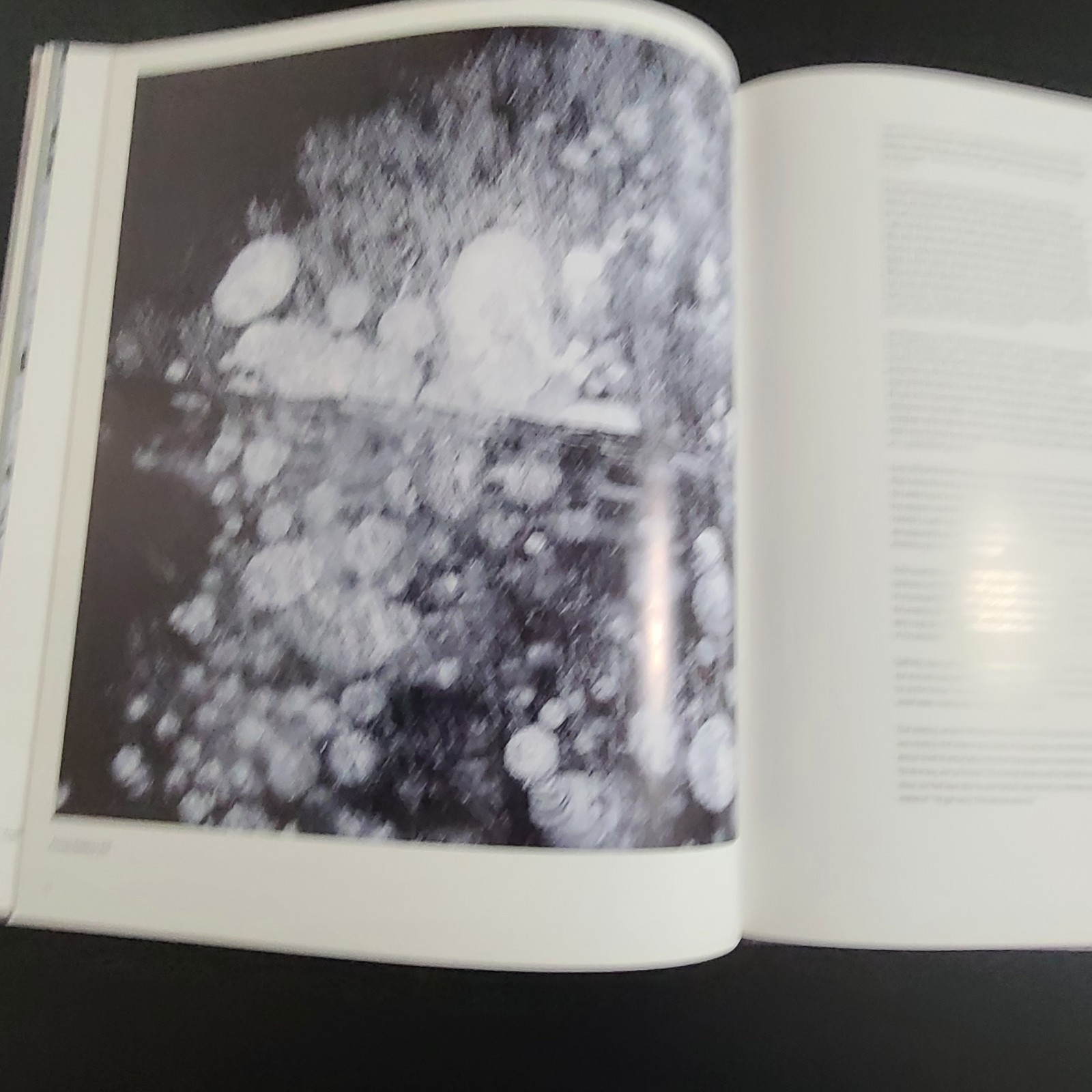 Tom Jacobi Into the Light Hirmer Hardback Coffee Table Book 2018
