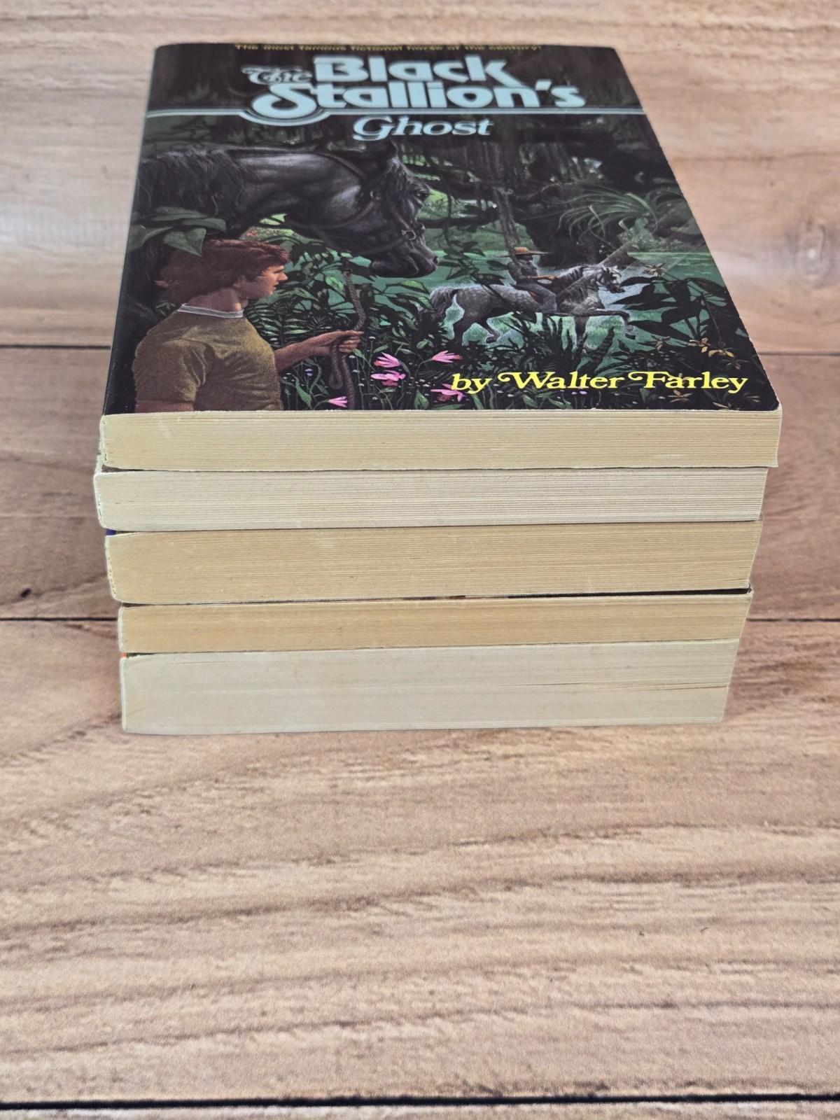 Lot of 5 The Black Stallion Paperbacks 1980s Walter Farley Very Good
