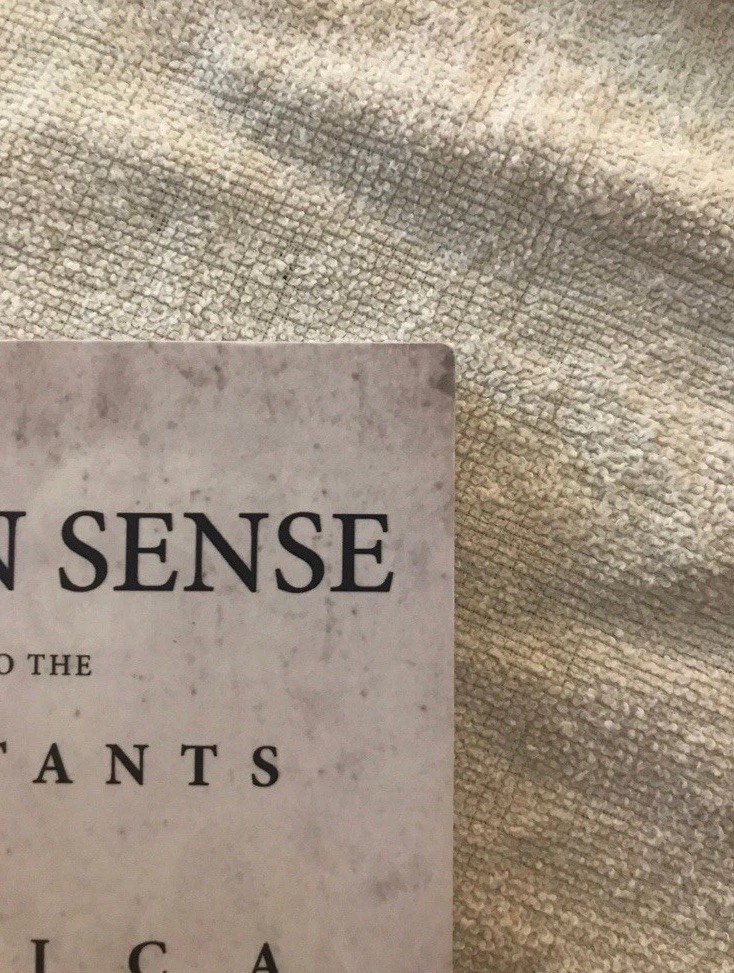 Common Sense: The Most Popular Book by Thomas Paine (2016, Trade Paperback)