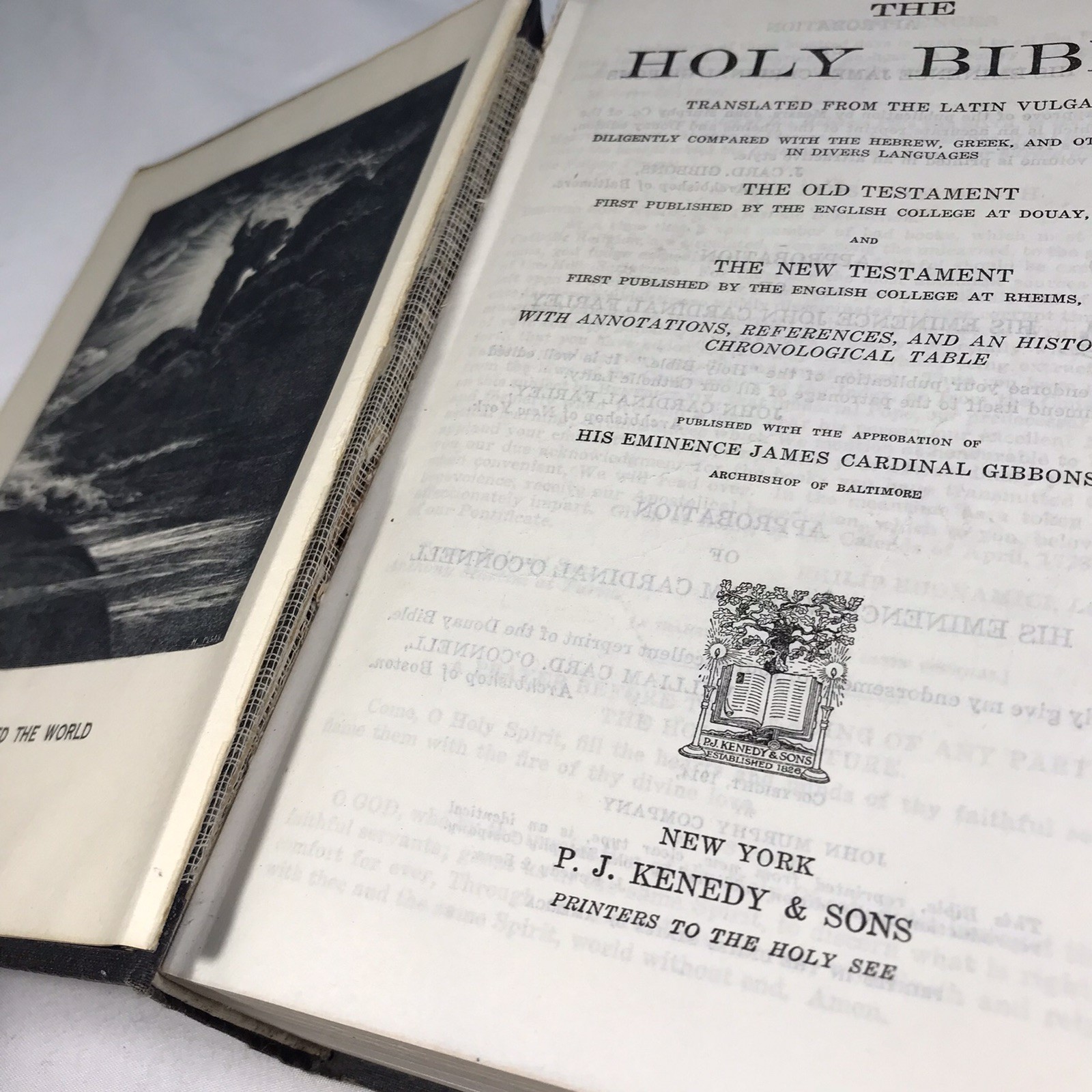 The Holy Bible Douay Version John Murphy Company Genuine Leather 1914