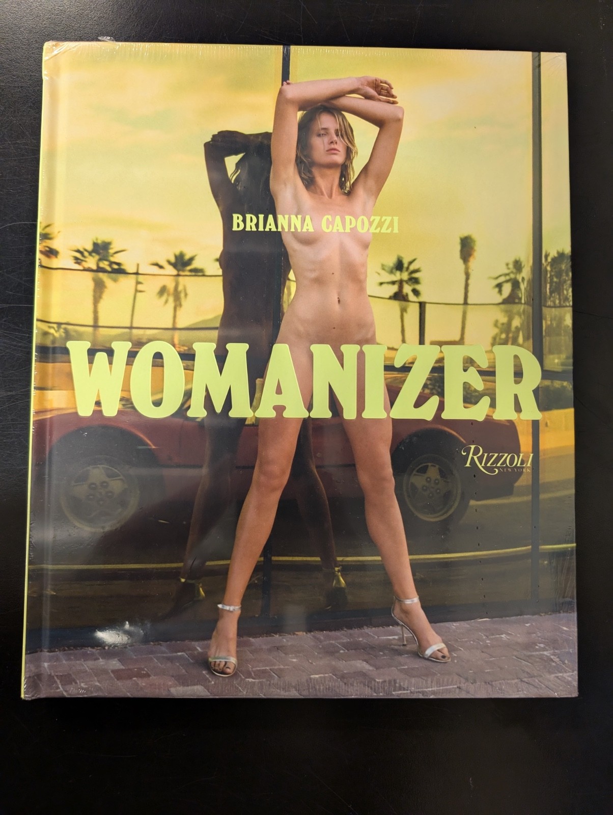 Womanizer by Brianna Capozzi Hardcover Book