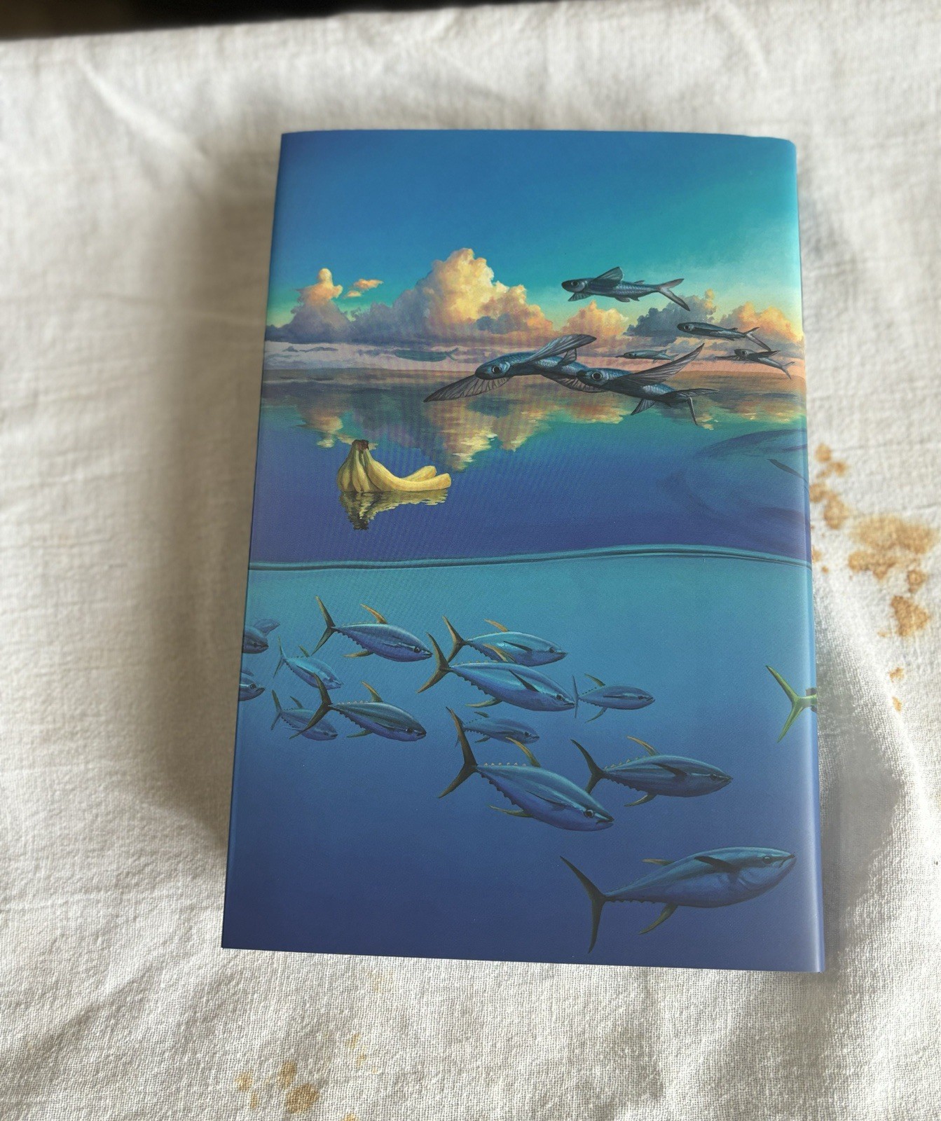 Life of Pi Suntup Artist Edition