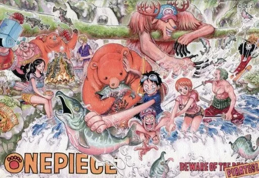 One Piece 20th Anniversary Original Illustration Board 9×6.3in Canvas Art