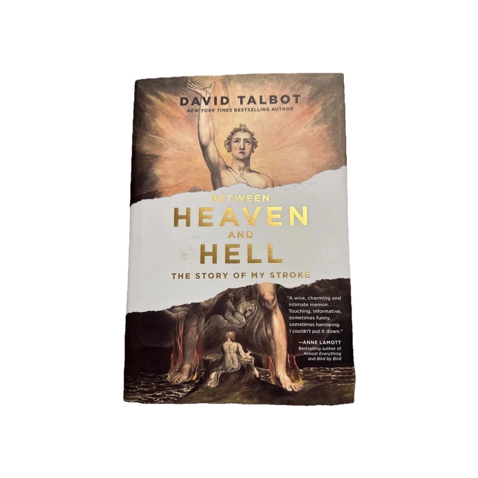 Between Heaven And Hell The Story Of My Stroke David Talbot 2020 Hardcover