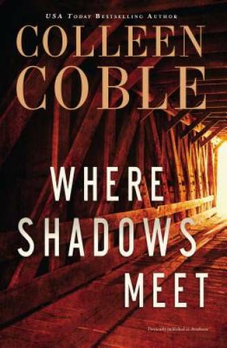 Where Shadows Meet: A Romantic Suspense Novel – Paperback – GOOD