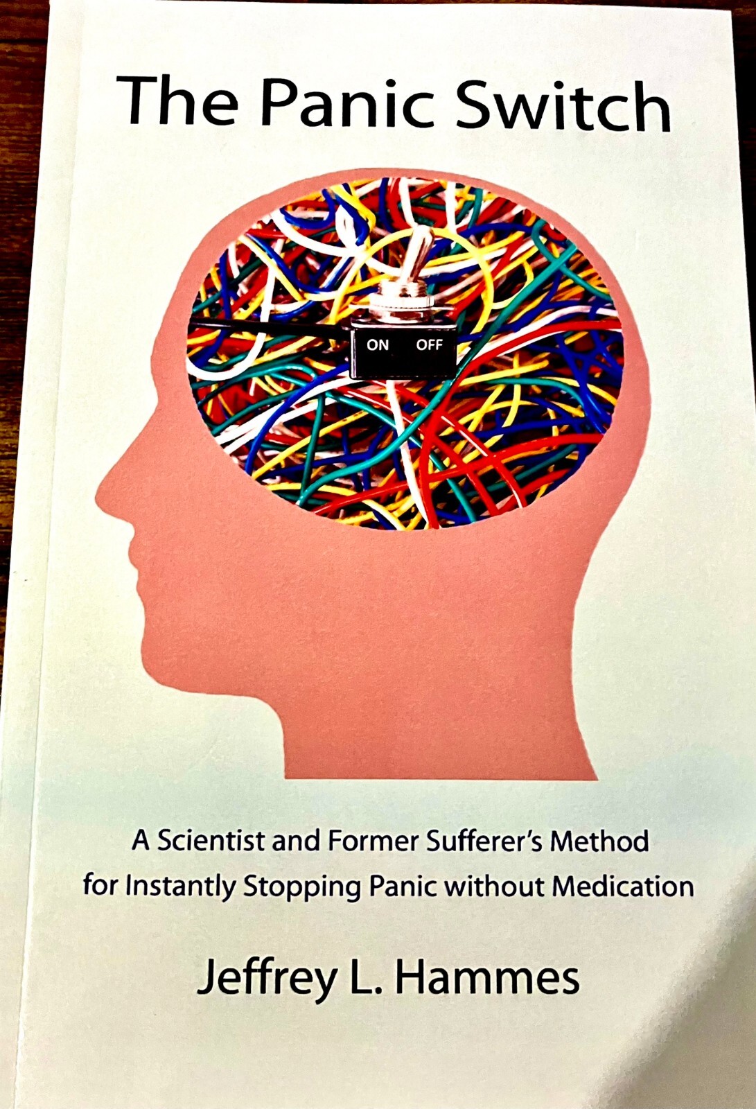 THE PANIC SWITCH: A SCIENTIST AND FORMER SUFFERER’S By Jeffrey L. Hammes – VG