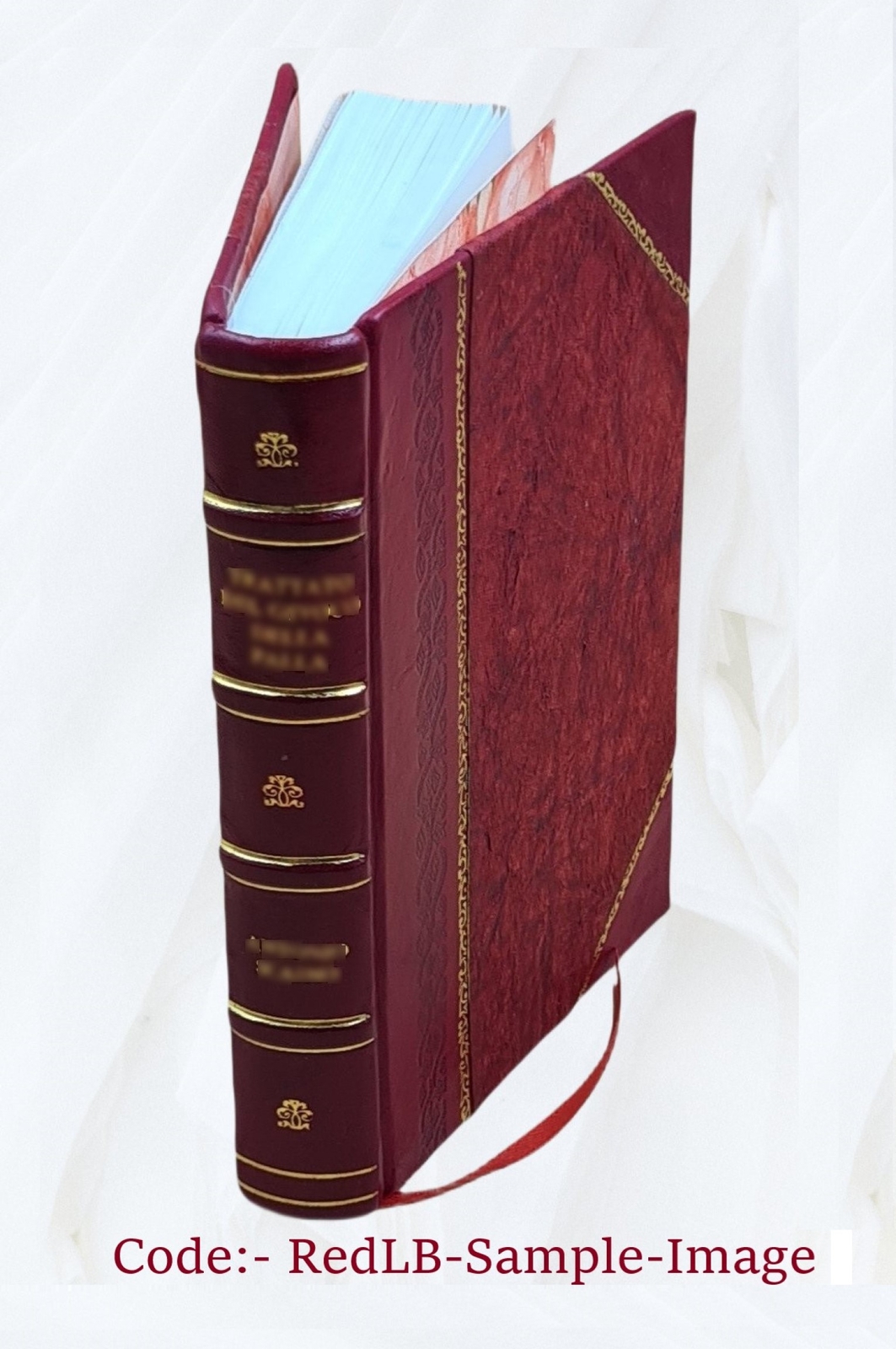 La Conqu?Te Du Cameroun 1Er Ao?T 1914 – 20 Fevrier 1916 1933 [Leather Bound]