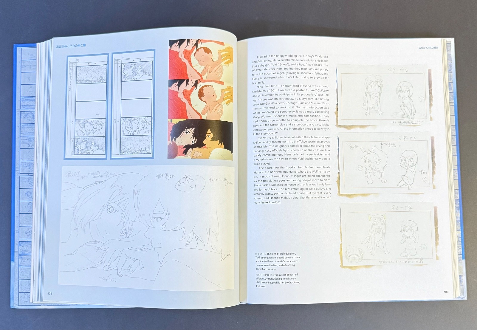 THE MAN WHO LEPT THROUGH FILM The Art of Mamoru Hosoda HARDBOUND BOOK 272 Pages