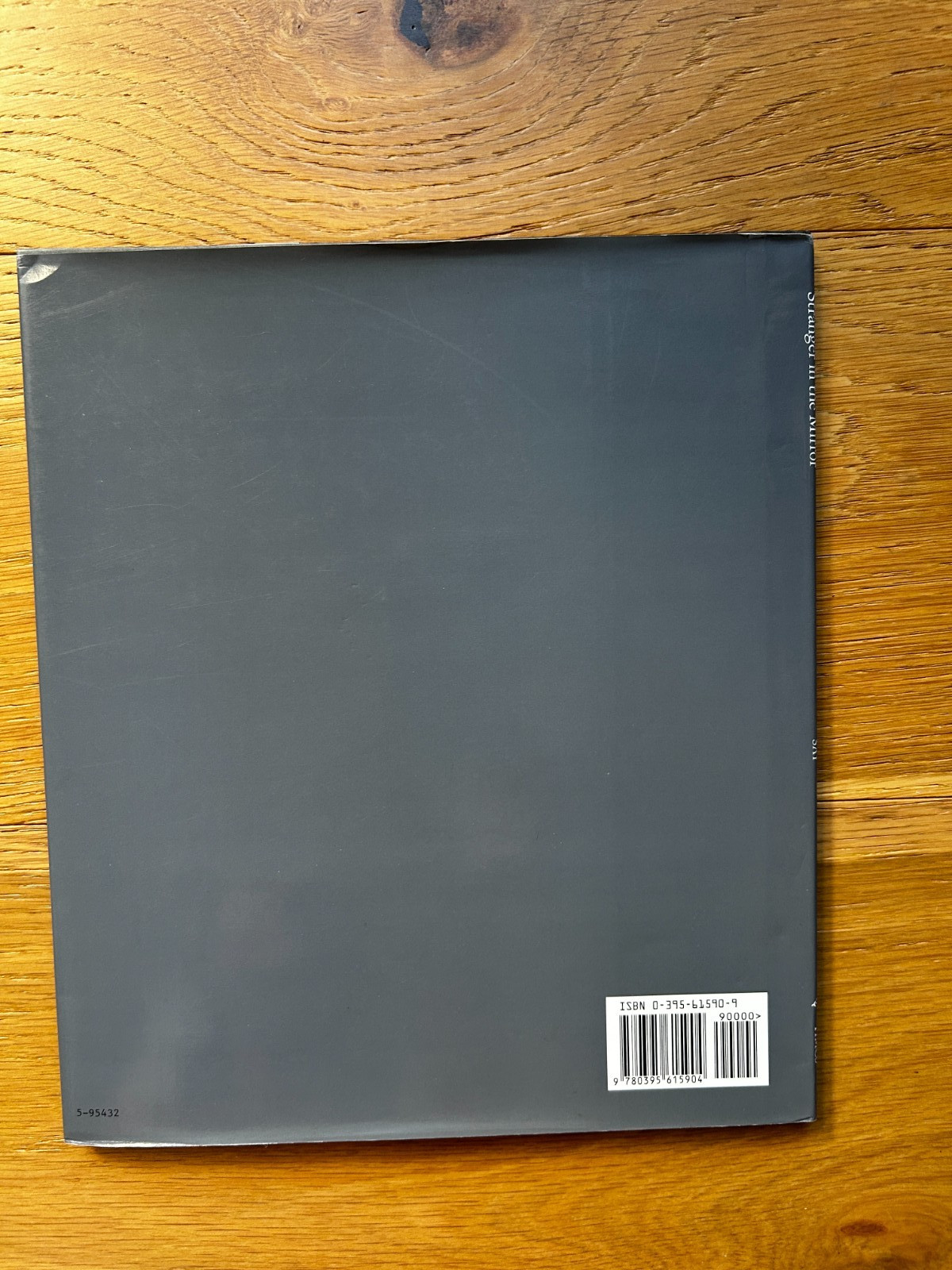 Stranger in the Mirror by Allen Say 1995 Vintage Hardcover with Dust Jacket