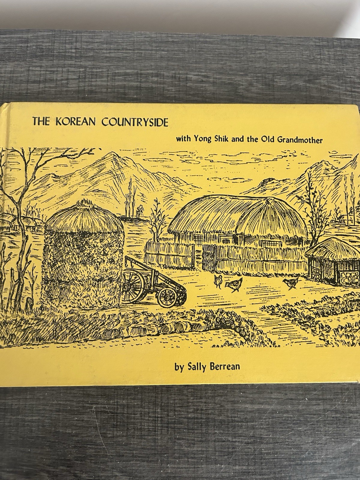 Sally Berrean ‘The Korean Countryside & Yong Shik Old Grandmother’-Two Books