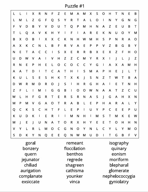 THE EXTREME WORD SEARCH CHALLENGE, 100 Puzzles and solutions, 8.5×11 inches