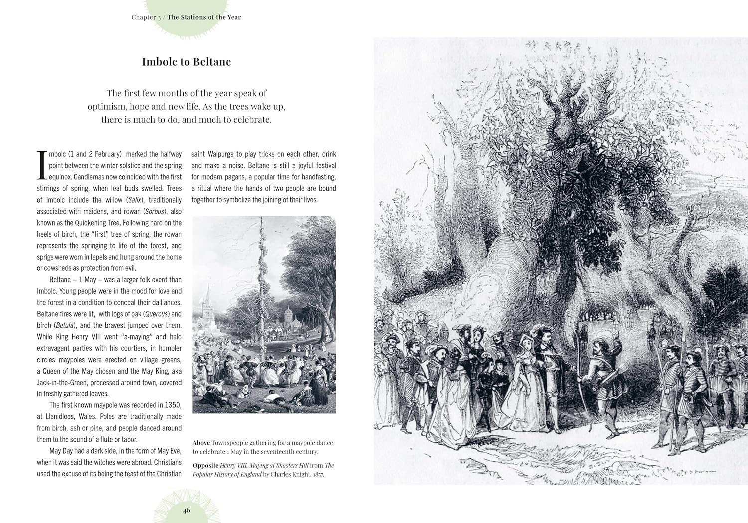 Witch’s Forest: Trees in magic, folklore and traditional remedies (Royal Botanic
