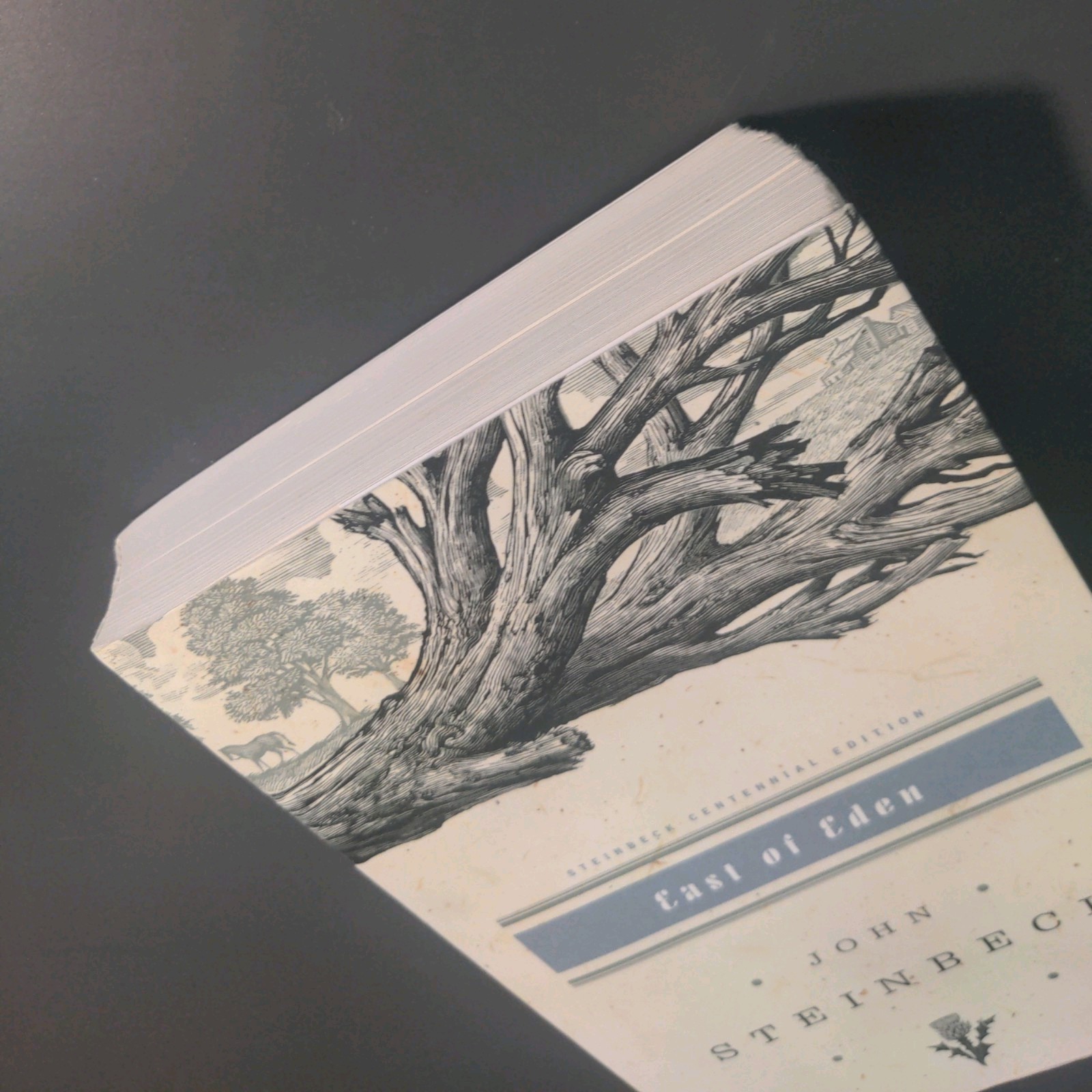 East of Eden, John Steinbeck Centennial Edition – Paperback – GOOD