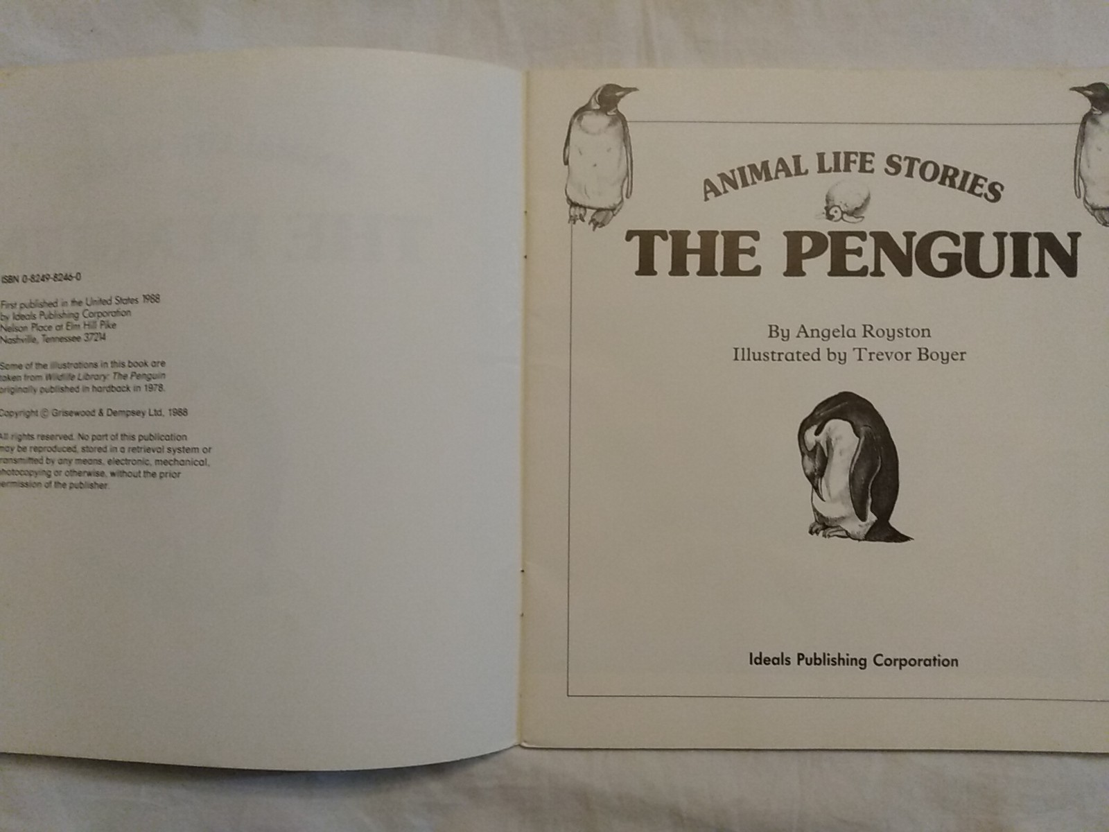 12 Books Children Pepito United Nations Wizard Oz Three Bears Rescuers Penguin