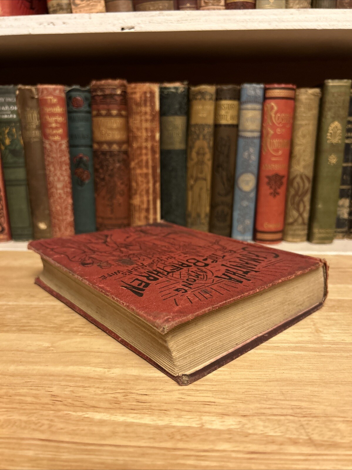 Samantha Among Brethren by Josiah Allen’s Wife Marietta Holley 1892 HC VTG