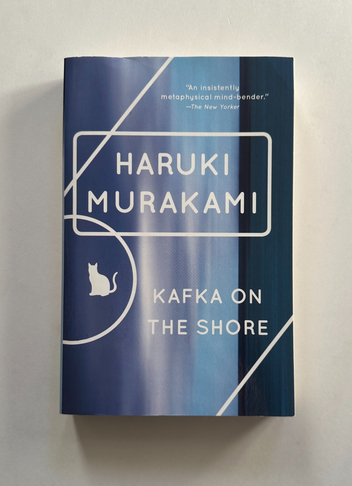 HARUKI MURAKAMI Kafka Shore/Hard-Boiled/On Music/After Dark/Men Women 5 TPB LOT