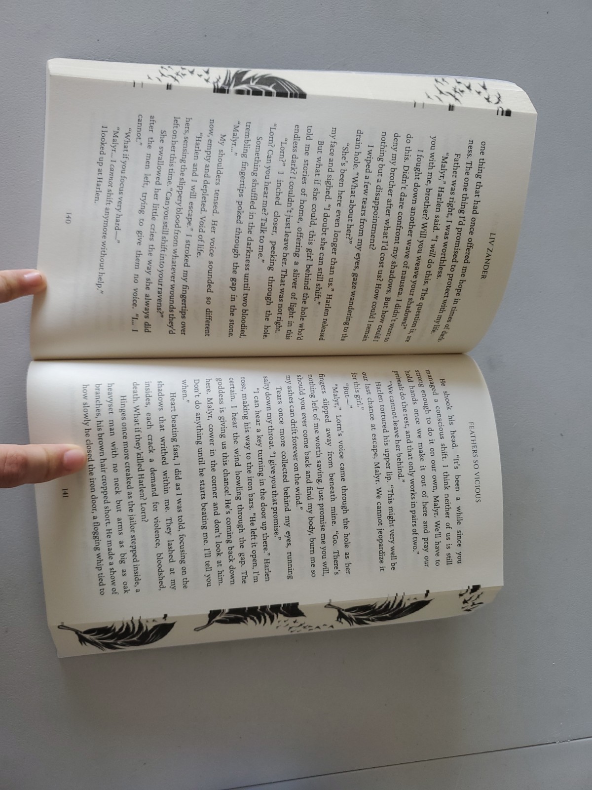 Feathers so Vicious: A Dark Fantasy – Paperback, by Zander Liv