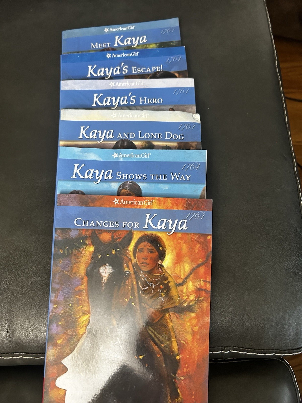 American Girl Books Lot (19 Books)