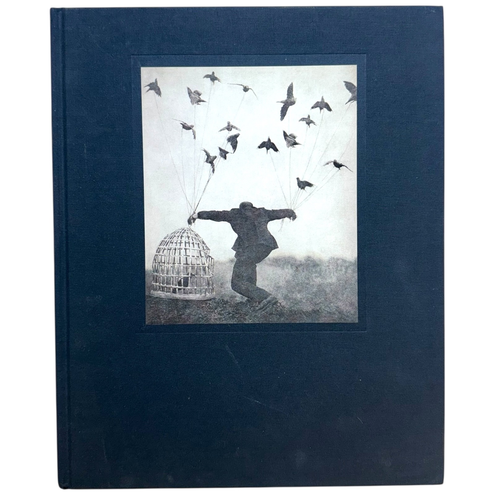 The Architect’s Brother by Robert Parkeharrison 2004 Twin Palms Hardcover Art