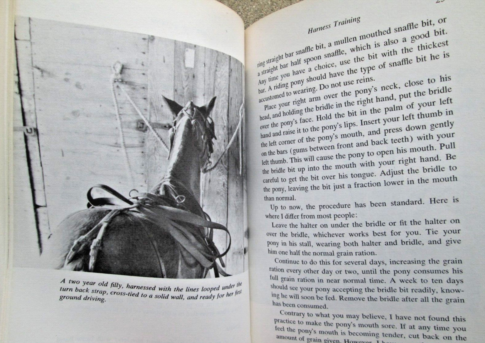 1977 Training the Driving Pony by Allan D. Conder Arco Pub. HC/DJ