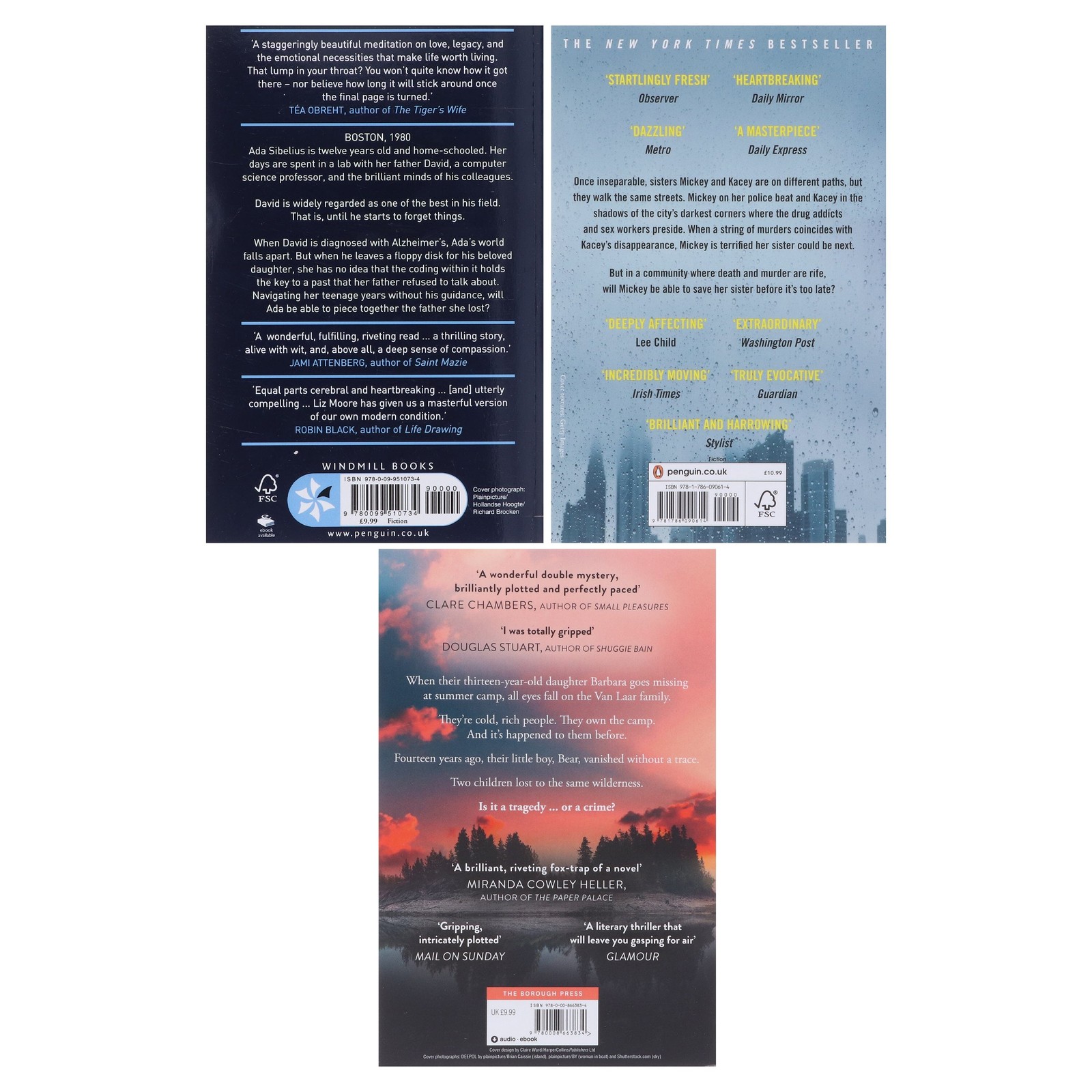 Liz Moore Collection 3 Books Set – Fiction – Paperback