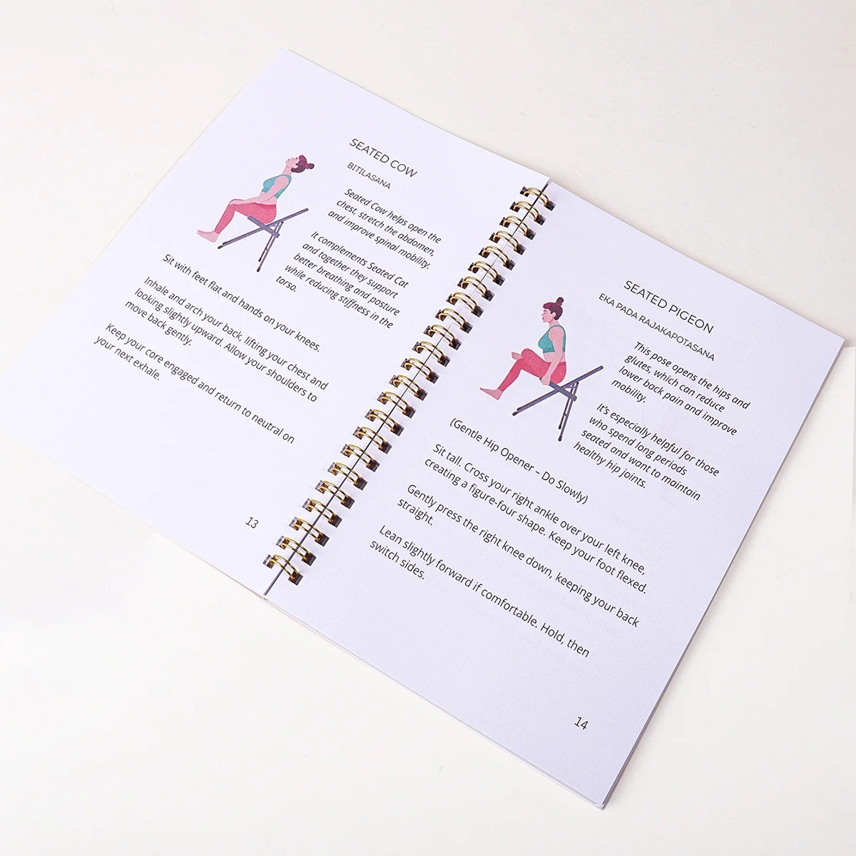Chair Yoga 28 30 Day Guide Book Beginner Seated Exercise Weight Loss Workout