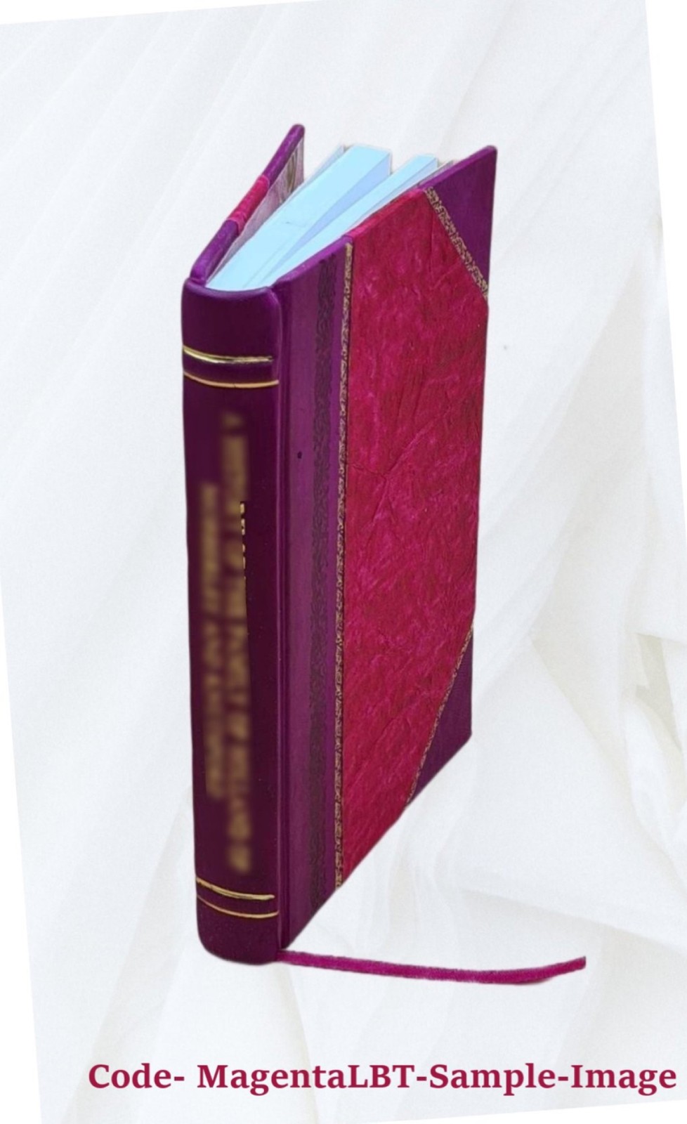 The Gospel of the Lord : an early version which was circulated b [Leather Bound]