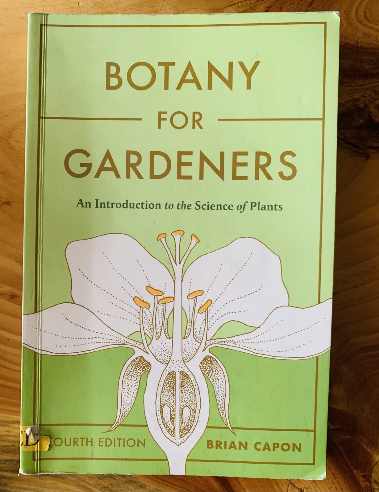 Botany for Gardeners Fourth Edition Brian Capon 2022 Timber Press Paperback
