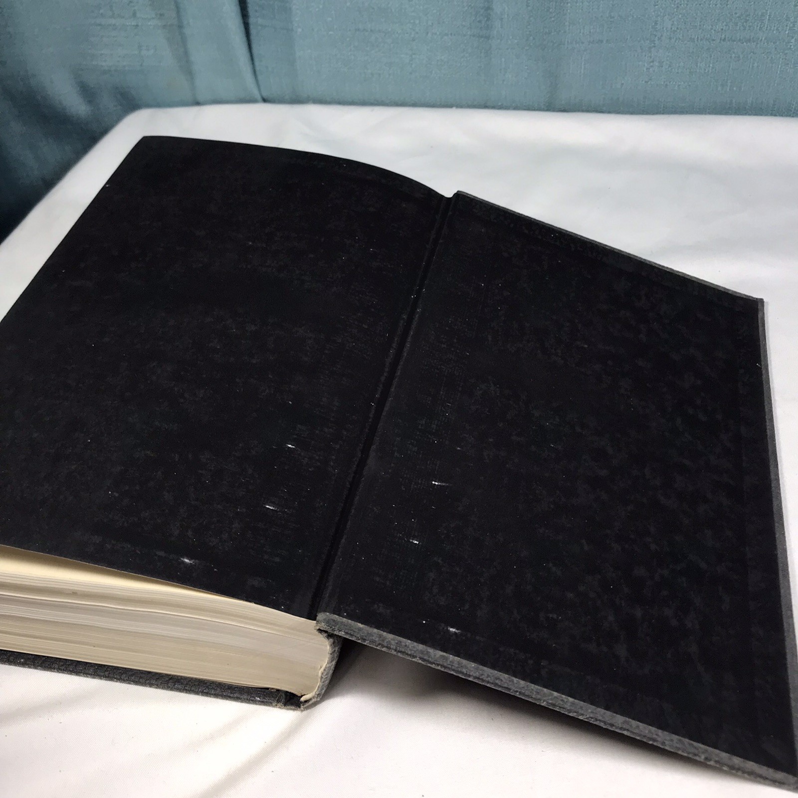 The Holy Bible Douay Version John Murphy Company Genuine Leather 1914