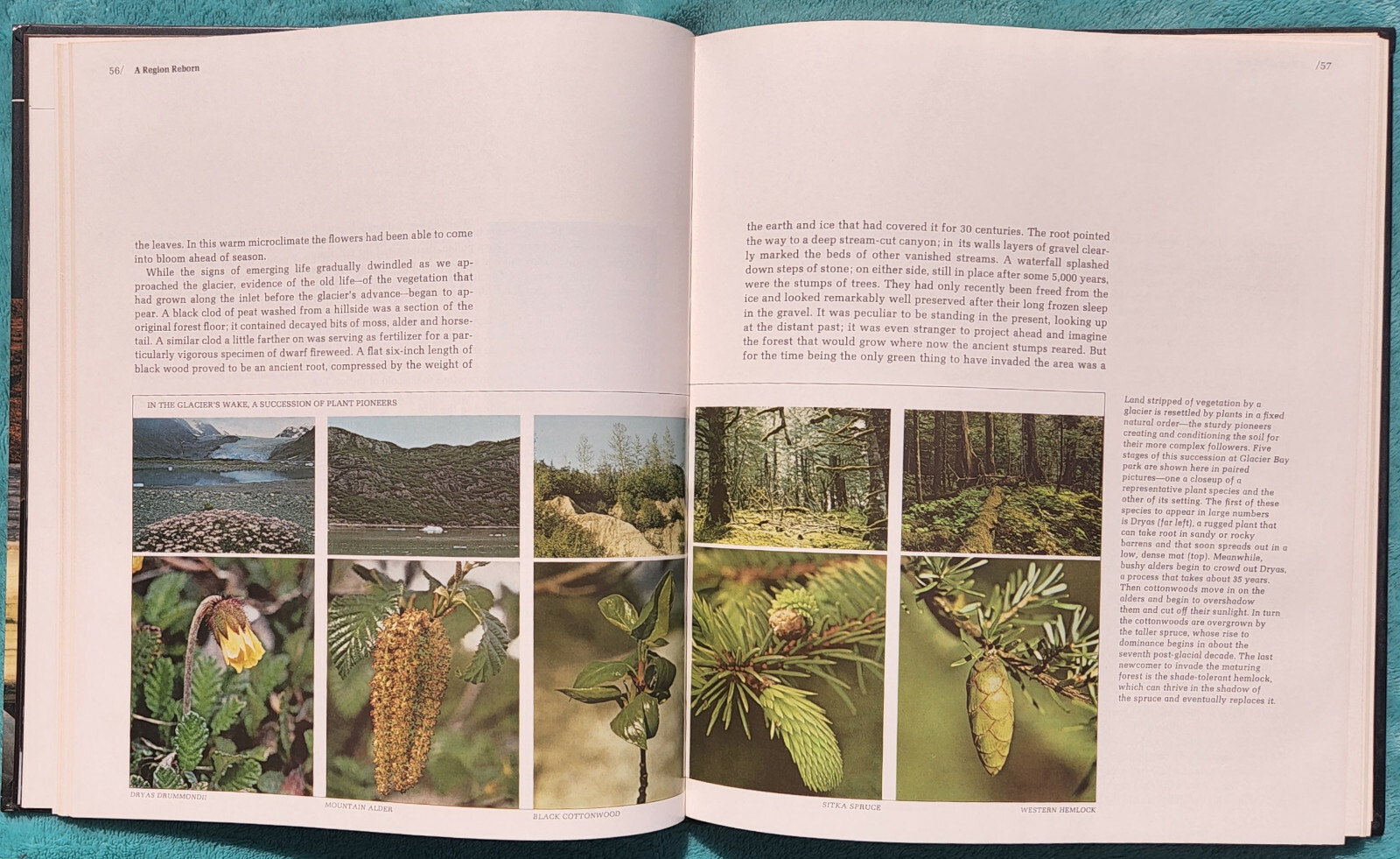 Wild Alaska The American Wilderness 1982 Time-Life Hardcover 184 Pages