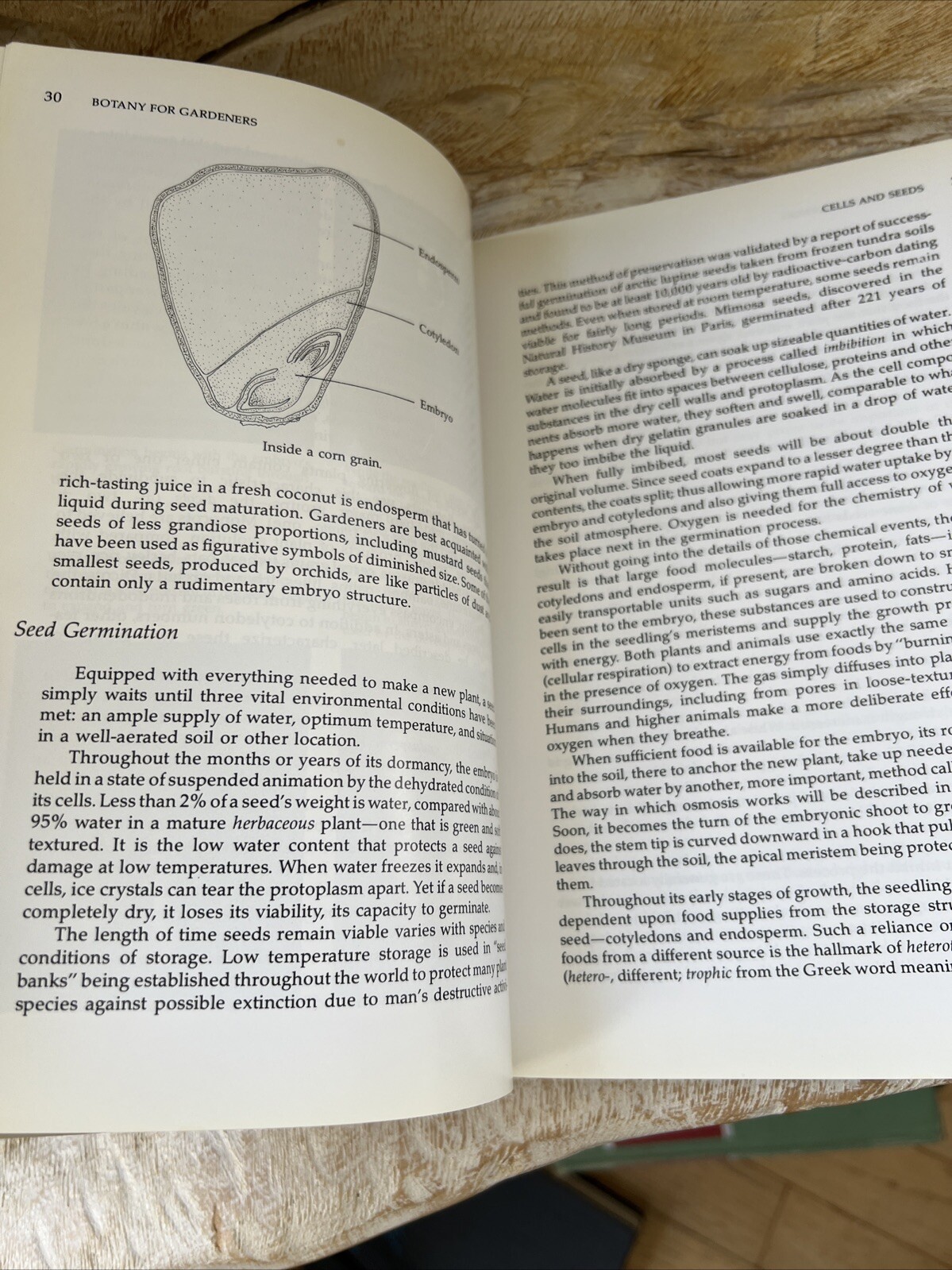 Botany for Gardeners An Introduction to the Science of Plants PB/1993 /2nd Print