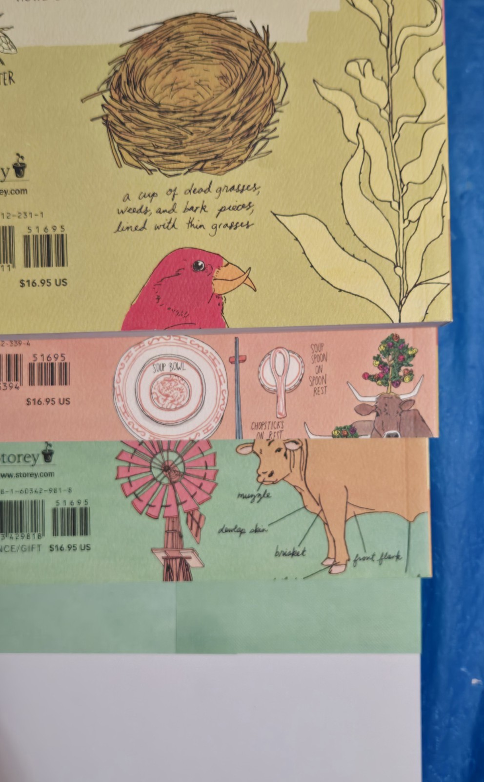 The Julia Rothman Collection: Farm Anatomy, Nature Anatomy, and Food Anatomy VG